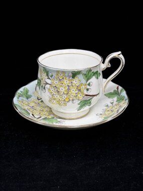 Royal Albert Hawthorn Tea Cup & Saucer Flower of the Month Bone China England #5